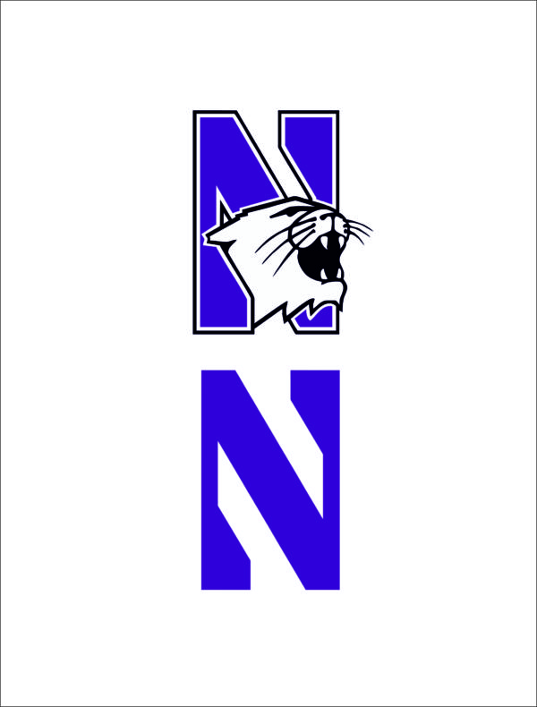 northwestern university football logo