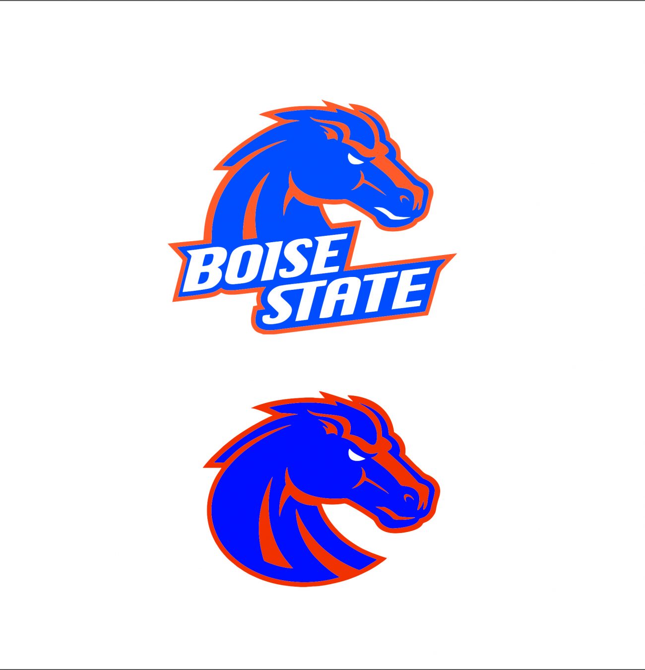 Boise State Broncos1