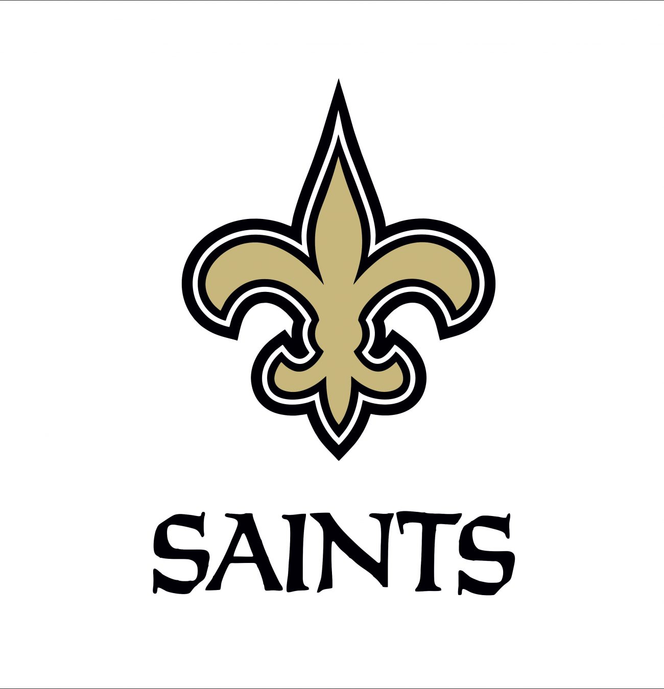 New Orleans Saints1